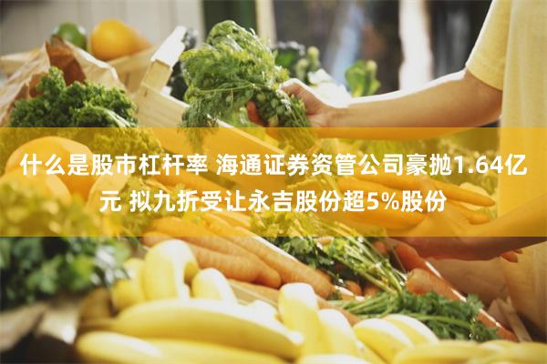 什么是股市杠杆率 海通证券资管公司豪抛1.64亿元 拟九折受让永吉股份超5%股份