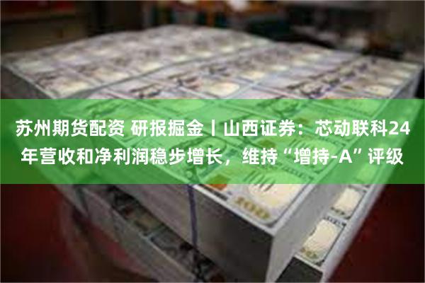苏州期货配资 研报掘金丨山西证券：芯动联科24年营收和净利润稳步增长，维持“增持-A”评级