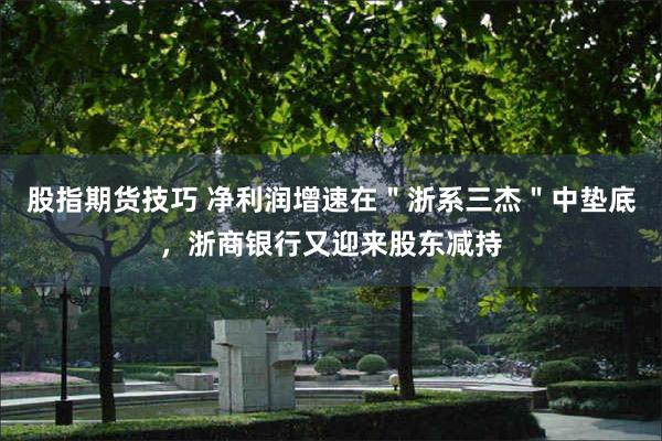 股指期货技巧 净利润增速在＂浙系三杰＂中垫底，浙商银行又迎来股东减持