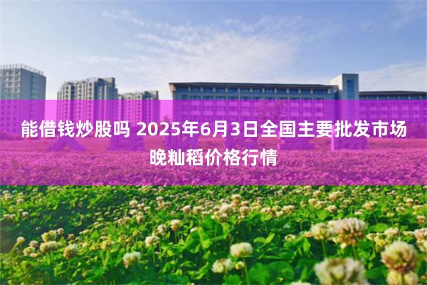 能借钱炒股吗 2025年6月3日全国主要批发市场晚籼稻价格行情
