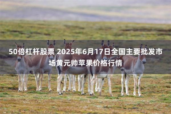 50倍杠杆股票 2025年6月17日全国主要批发市场黄元帅苹果价格行情