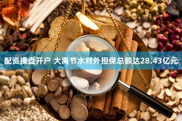 配资操盘开户 大禹节水对外担保总额达28.43亿元
