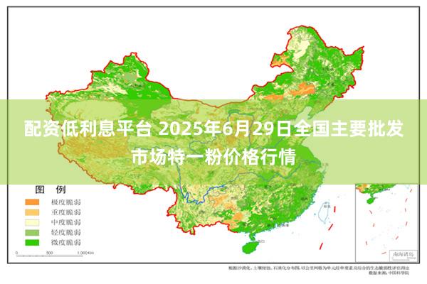 配资低利息平台 2025年6月29日全国主要批发市场特一粉价格行情