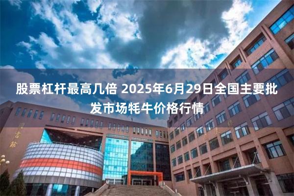 股票杠杆最高几倍 2025年6月29日全国主要批发市场牦牛价格行情