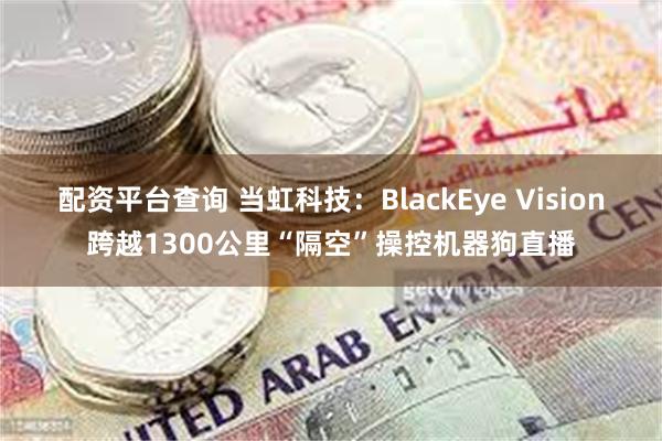 配资平台查询 当虹科技：BlackEye Vision跨越1300公里“隔空”操控机器狗直播
